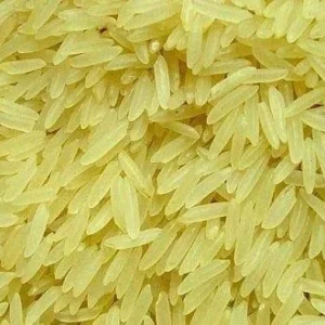 SUGANDHA GOLDEN SELLA RICE